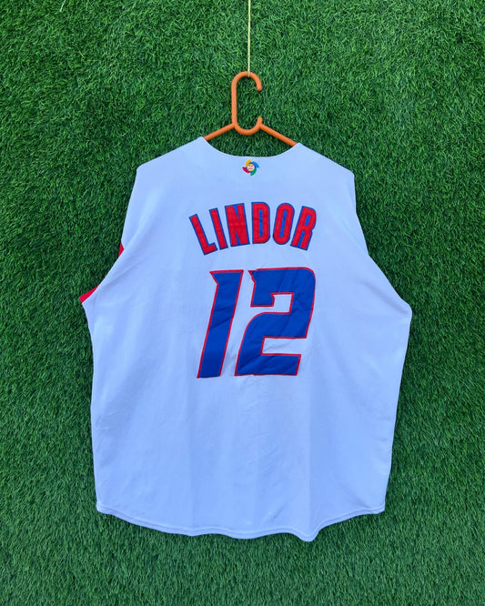 MLB PUERTO RICO 12 PATCHWORK (Oversized Half Sleeve T shirt or Jersey Unisex)