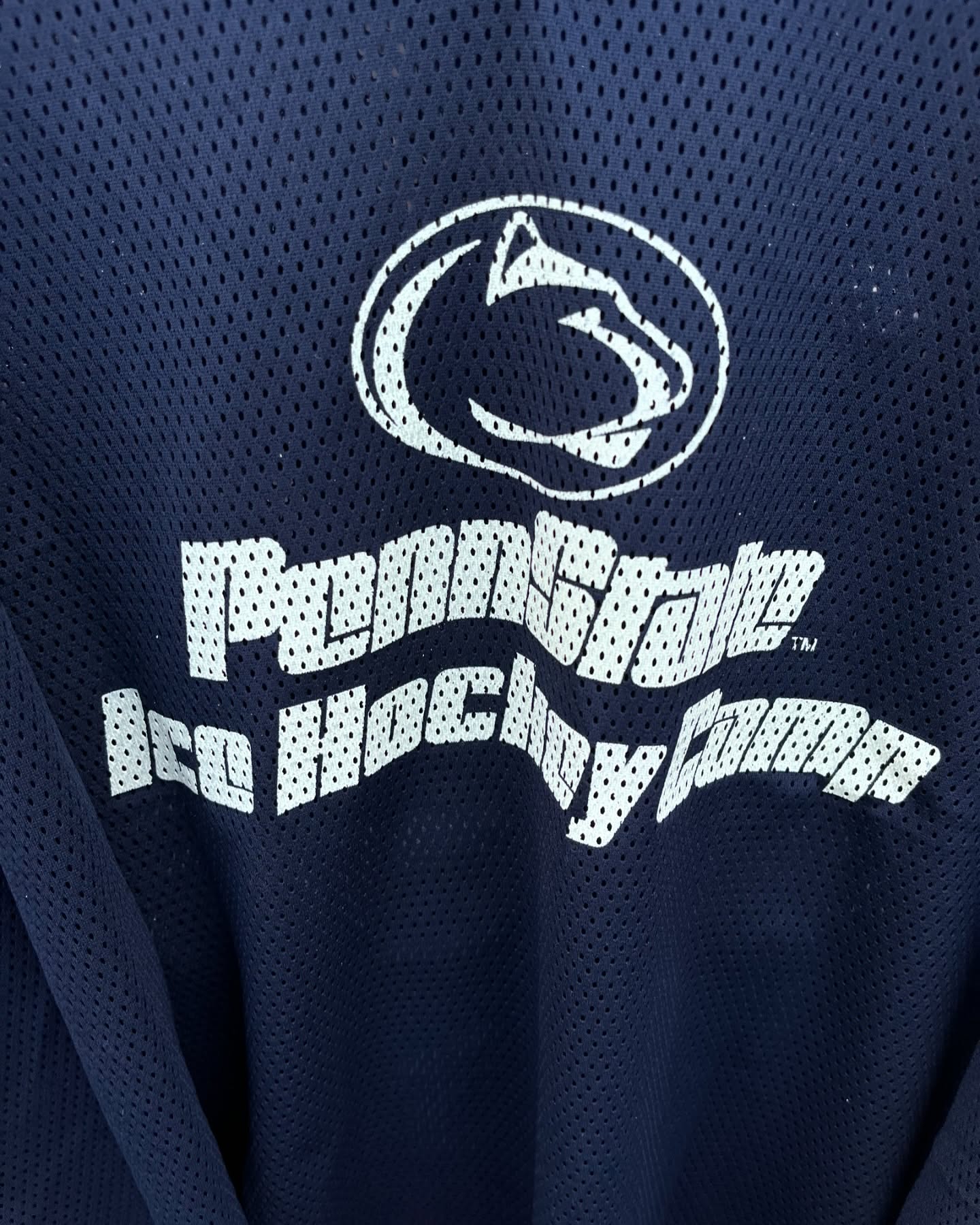 Pennstate Ice hockey Jersey 12 (Oversized Full Sleeve T shirt or Jersey Unisex)