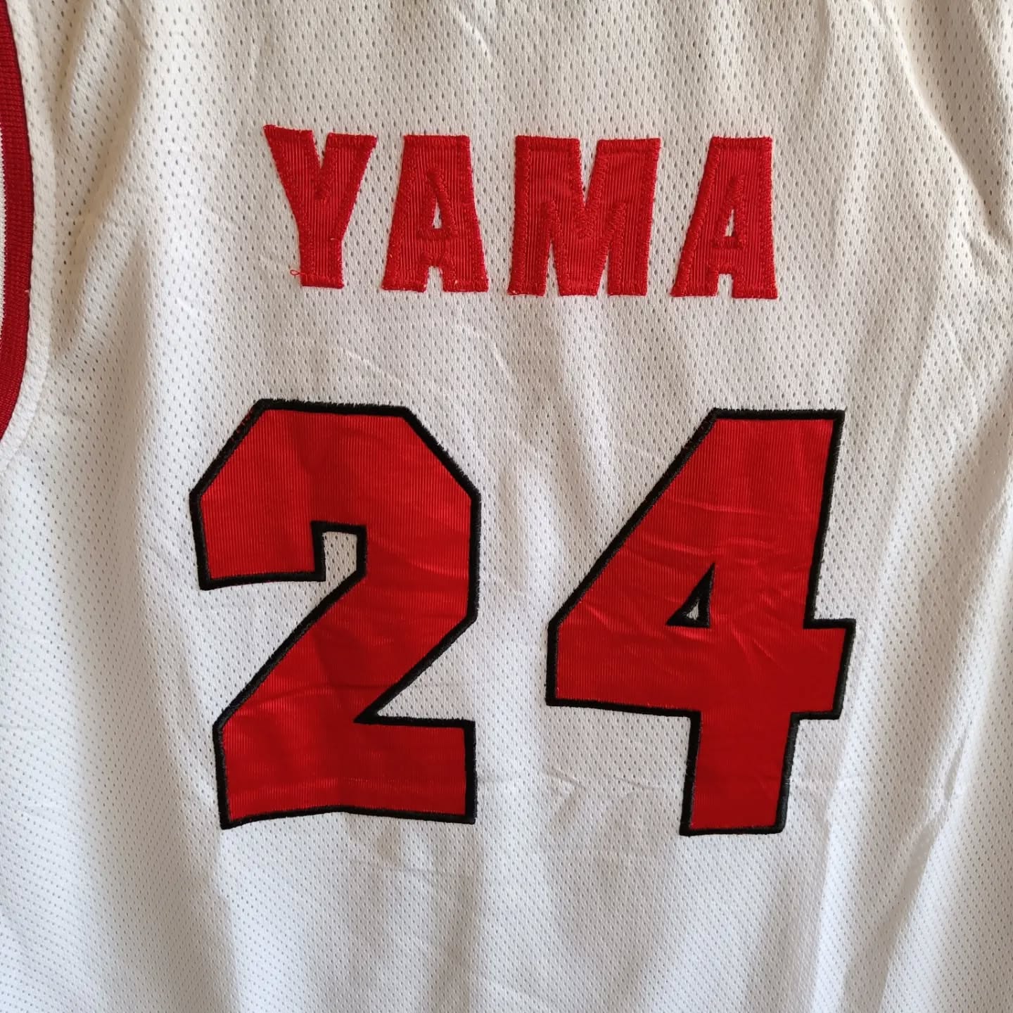 NBA WAF 24 (Oversized Sleeveless Basketball T Shirt or jersey unisex)