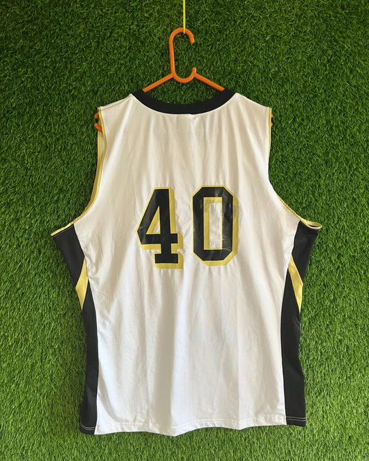 NBA BOBCATS 40 (Oversized Sleeveless Basketball T Shirt or jersey unisex)