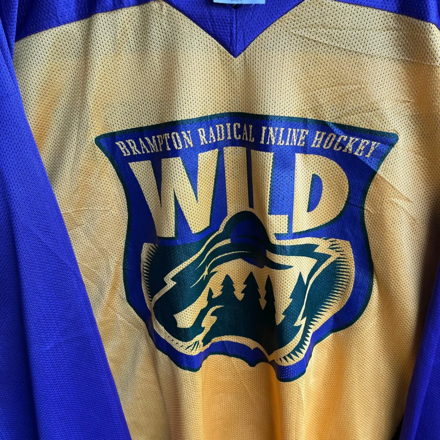 Ice Hockey Jersey Wild 3 (Oversized Full Sleeve Ice hockey T Shirt or jersey unisex)