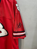 Half Sleeve Jerseys Vintage Streetwear Earnhardt Jr 8