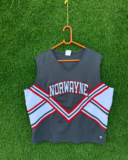 Cropped Basketball Norwayne (Patchwork) (Oversized Sleeveless T shirt or Jersey Unisex)