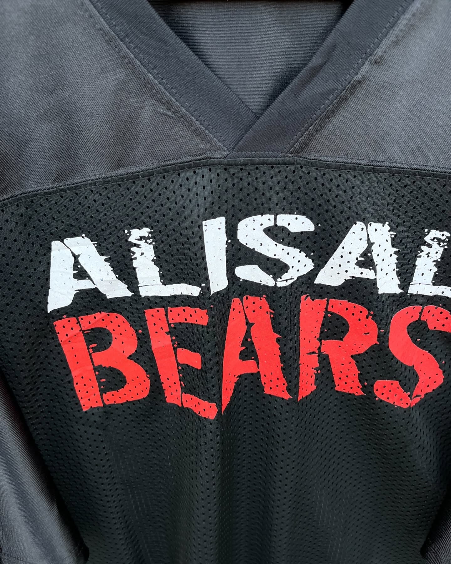 Alisal Bears (Oversized Half Sleeve T shirt or Jersey Unisex) - Thrift Wallet