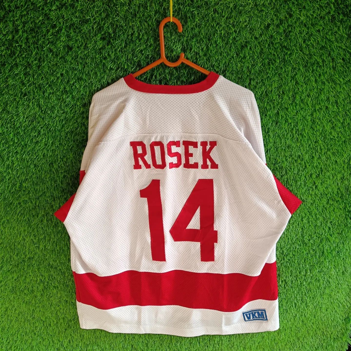 NHL Detroit Red wings (Rosek 14)