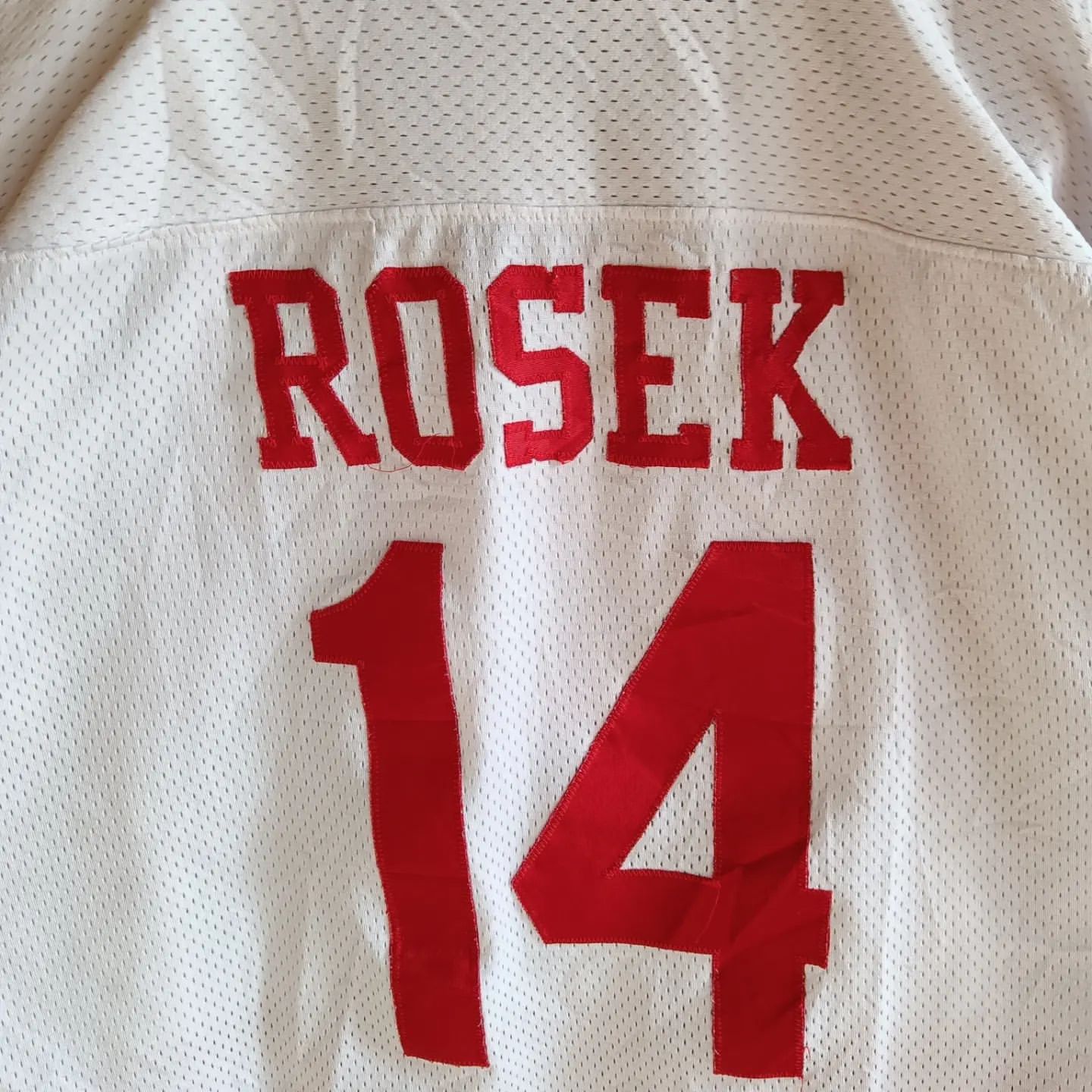 NHL Detroit Red wings (Rosek 14)