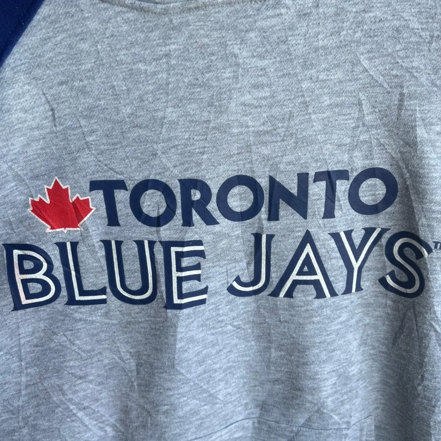 Premium Hoodie Blue Jays Toronto