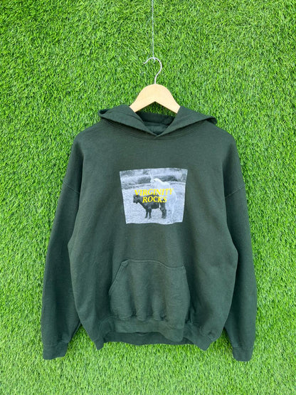 VIRGINITY ROCKS Vintage Hoodie | | Unisex  | Thrifted Streetwear