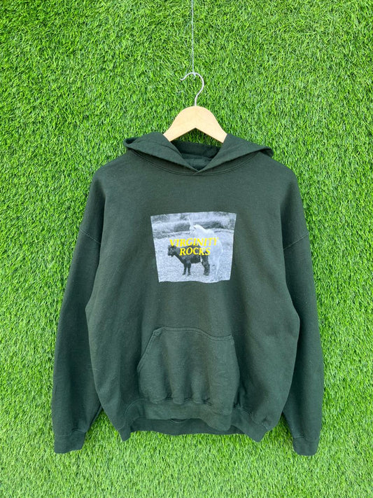 VIRGINITY ROCKS Vintage Hoodie | | Unisex  | Thrifted Streetwear