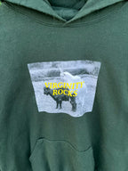 VIRGINITY ROCKS Vintage Hoodie | | Unisex  | Thrifted Streetwear