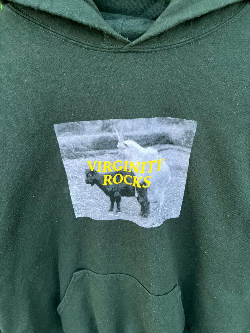 VIRGINITY ROCKS Vintage Hoodie | | Unisex  | Thrifted Streetwear