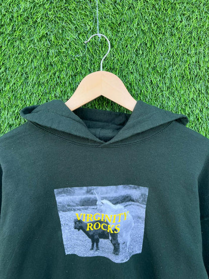 VIRGINITY ROCKS Vintage Hoodie | | Unisex  | Thrifted Streetwear