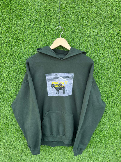 VIRGINITY ROCKS Vintage Hoodie | | Unisex  | Thrifted Streetwear