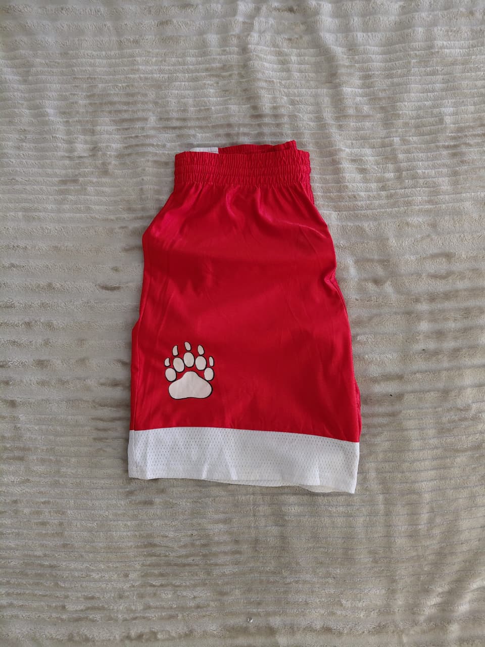 TEAMWORKS SHORTS