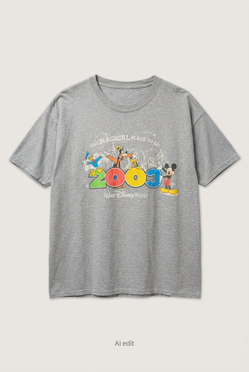 Disney 2003 grey T-shirt front preview