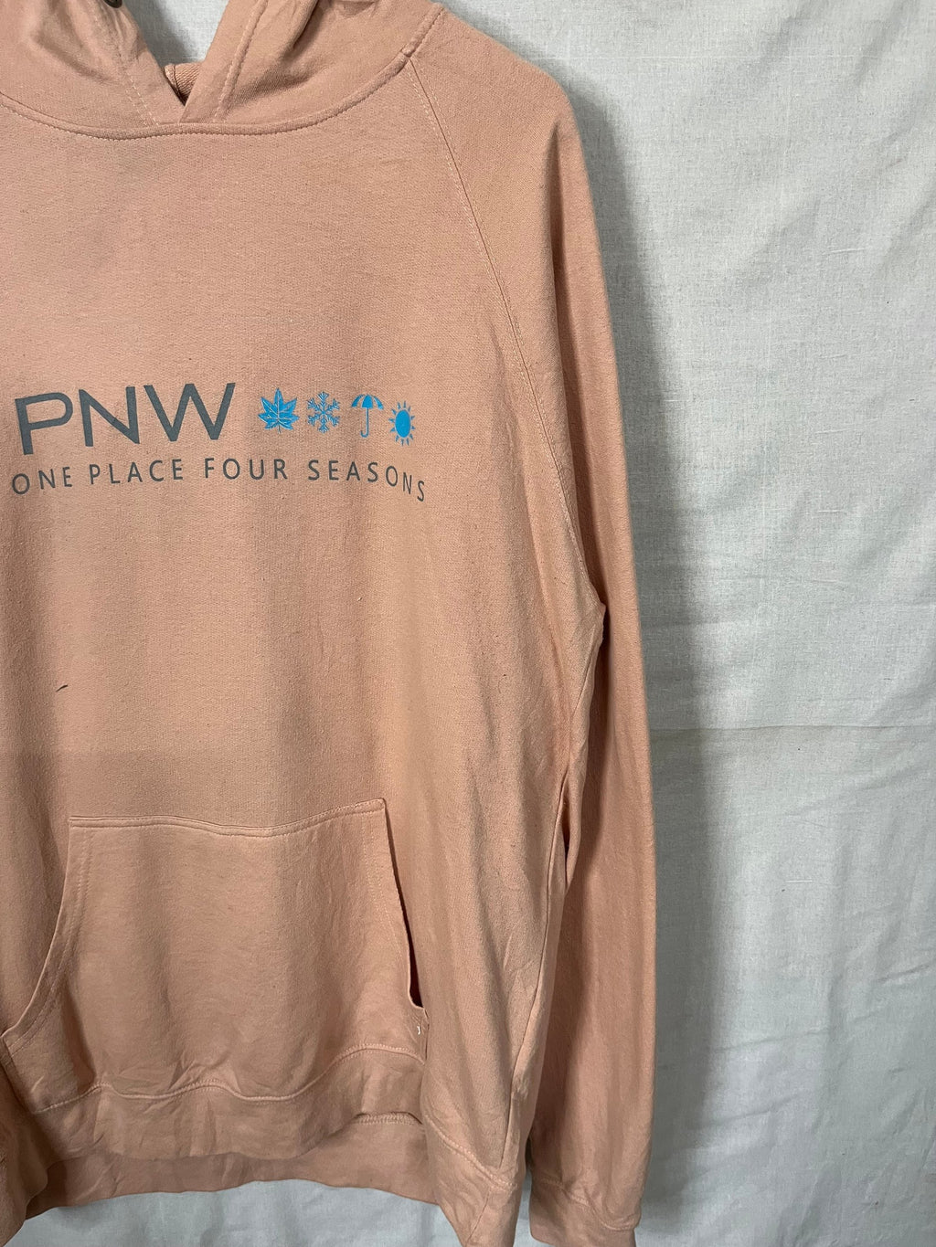 Hoodie Vintage Streetwear - Independent