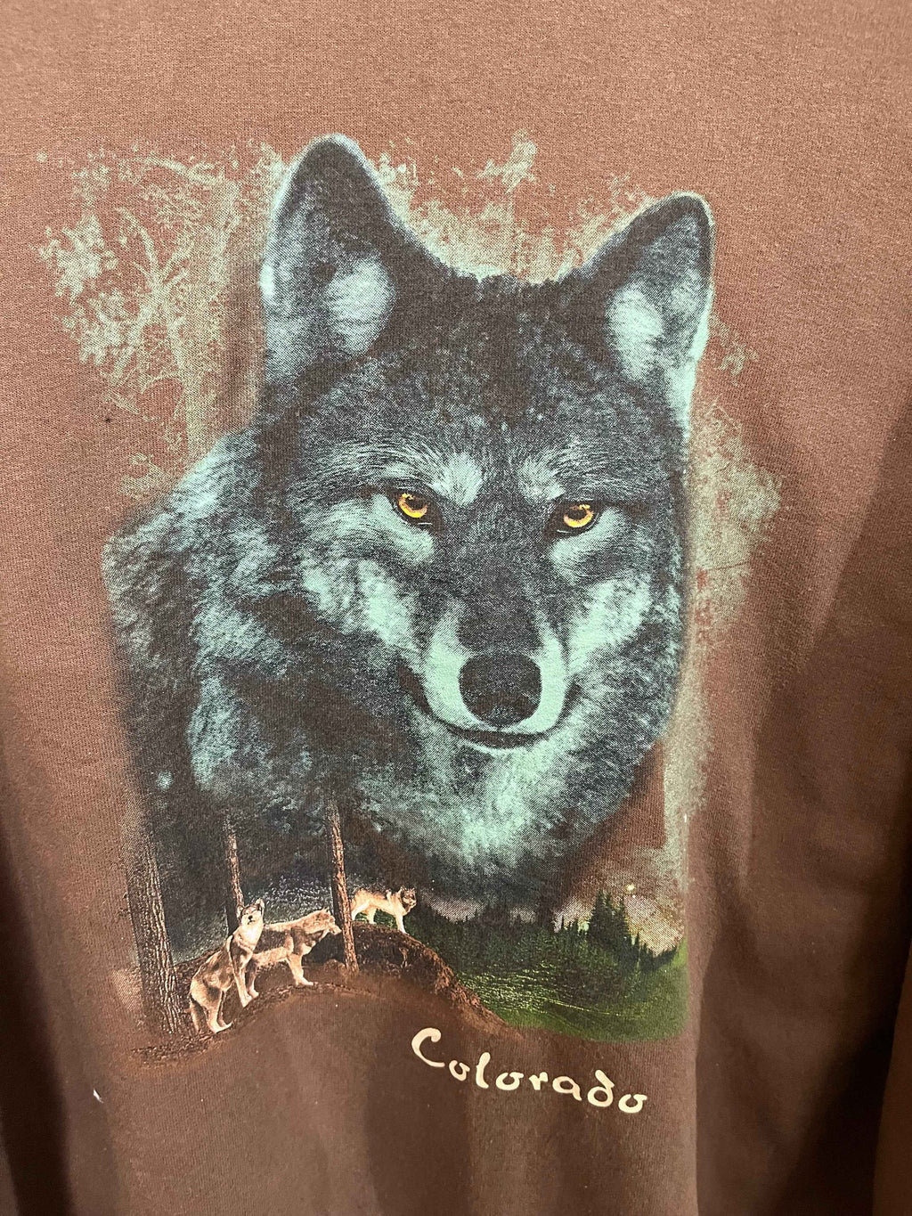 Sweatshirts Vintage Streetwear Fruit of the loom