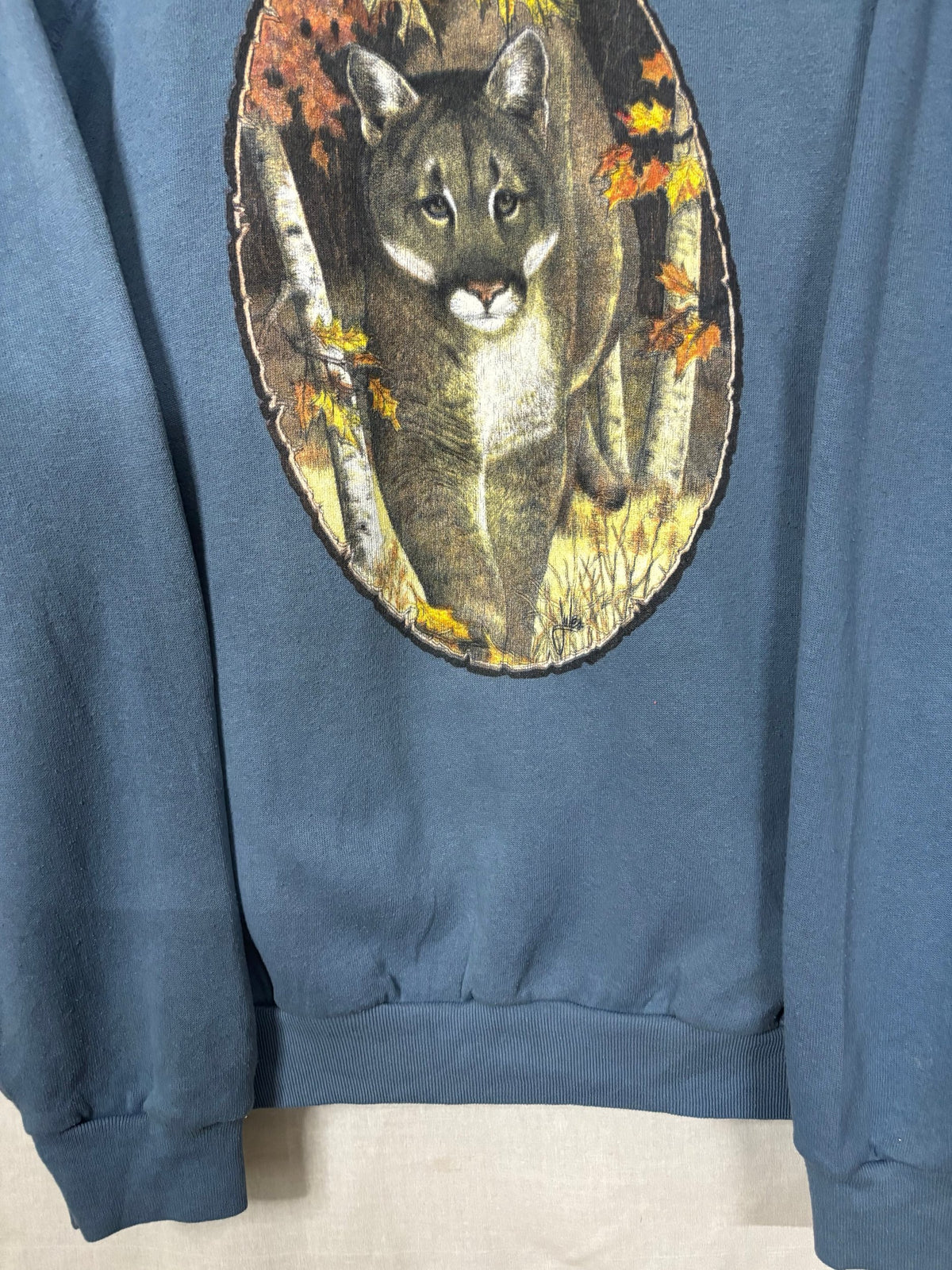 Sweatshirts Vintage Streetwear - Tultex