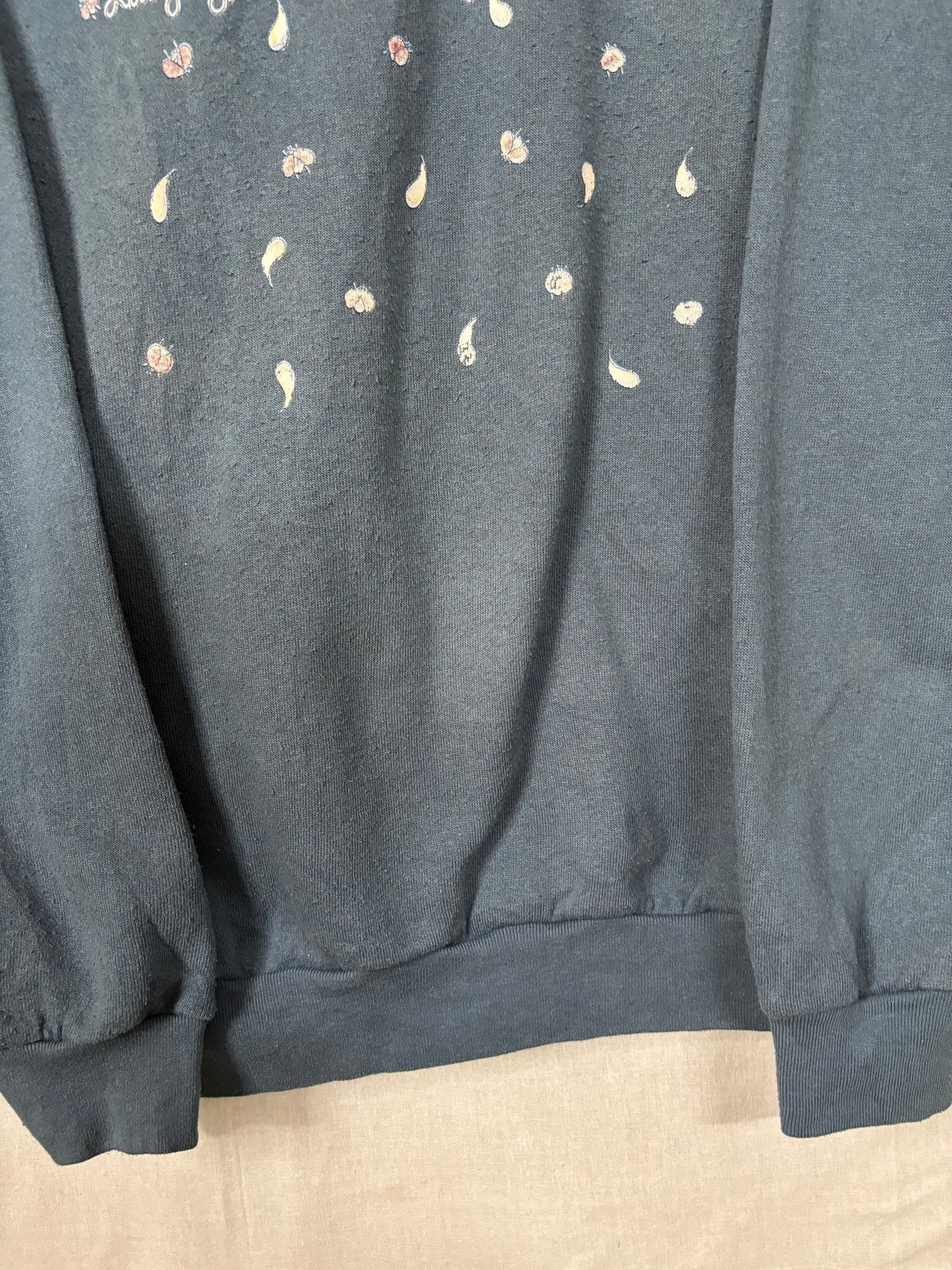 Sweatshirts Vintage Streetwear - Ladybug