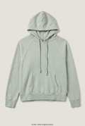 Front product view of sage green hoodie, flat lay