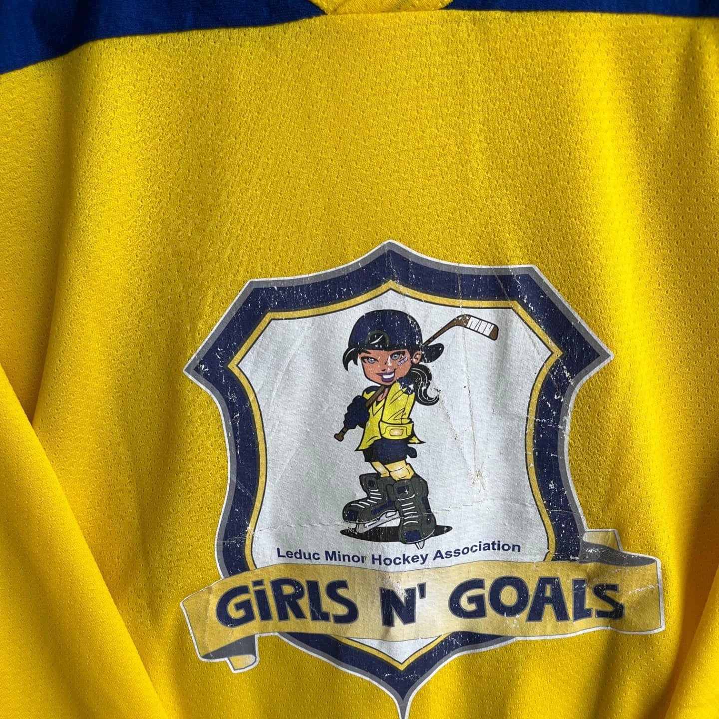 Ice hockey Jersey Girls N' Goals 4 (Oversized Full Sleeve Ice hockey T Shirt or jersey unisex)