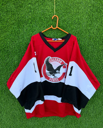 Ice hockey Jersey Caledon Hawks (Patchwork) (Oversized Full sleeve T Shirt or jersey unisex)