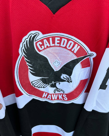 Ice hockey Jersey Caledon Hawks (Patchwork) (Oversized Full sleeve T Shirt or jersey unisex)