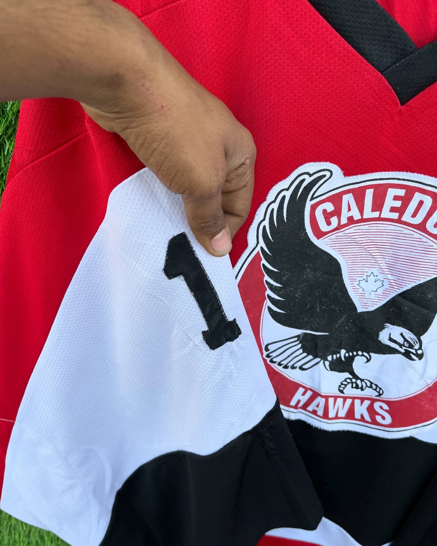 Ice hockey Jersey Caledon Hawks (Patchwork) (Oversized Full sleeve T Shirt or jersey unisex)